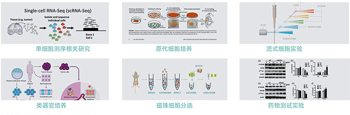 JX-CKSW系列產(chǎn)品應用-700