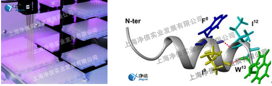 全自動樣品快速研磨儀,全自動樣品處理系統(tǒng)